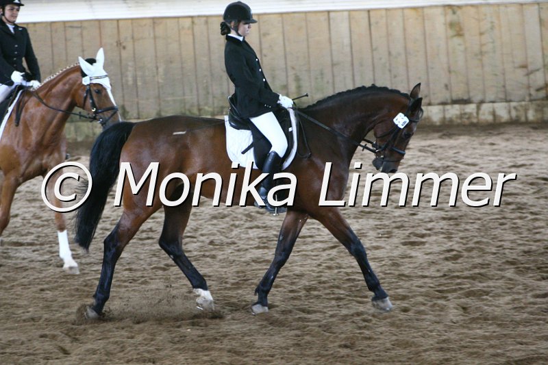 006M4802_A Dressur.JPG